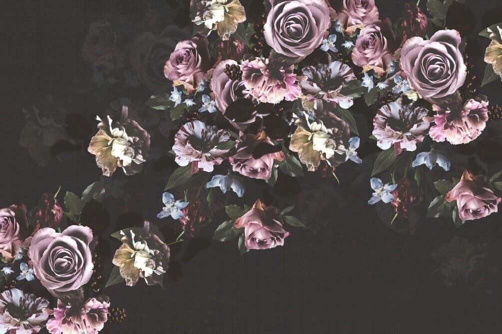 Group of flowers on a black background u42513p - Group of flowers on a black background - tegory