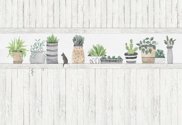 Row of potted plants Row of potted plants