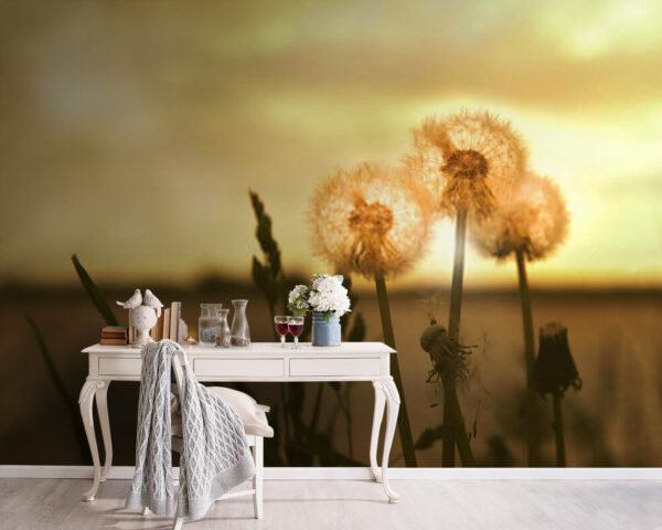Wall murals Dandelions basking in warm light (SKU: u38934) Wall murals Wall murals Dandelions basking in warm light (SKU: u38934)