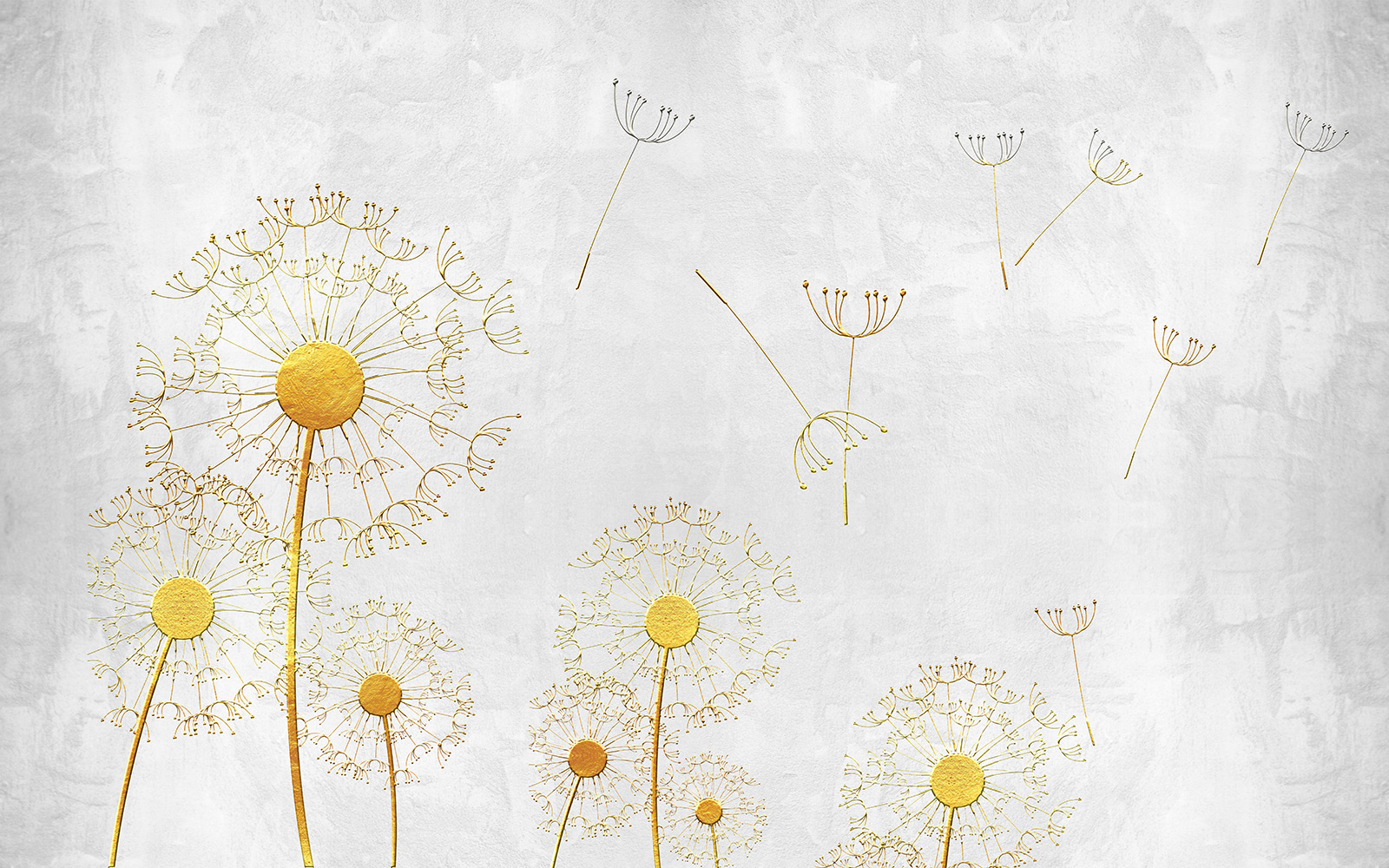 Yellow dandelions with seeds u38801p - Yellow dandelions with seeds - tegory