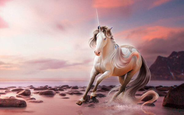Unicorn running on water Unicorn running on water