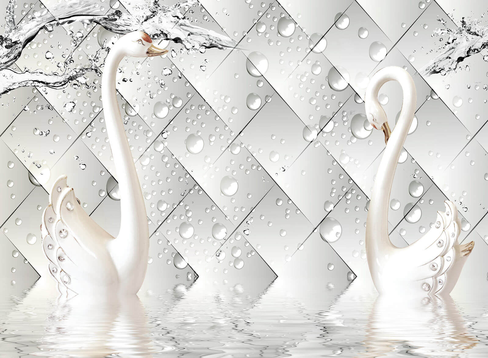 White swans in water u37125p - White swans in water - tegory