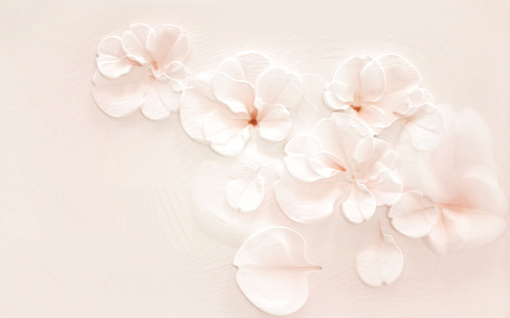 Group of white flowers Group of white flowers