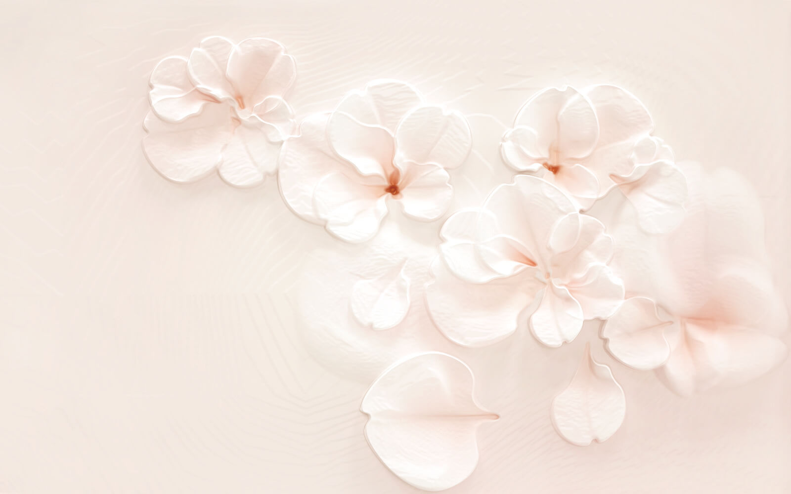 u37030p - Group of white flowers - tegory