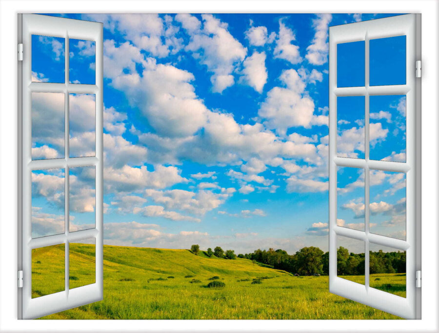 Open window with trees and grass field