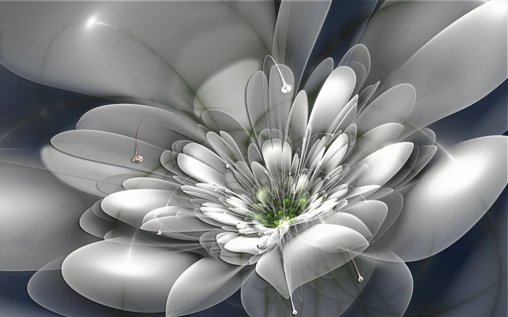 White flower with green center White flower with green center