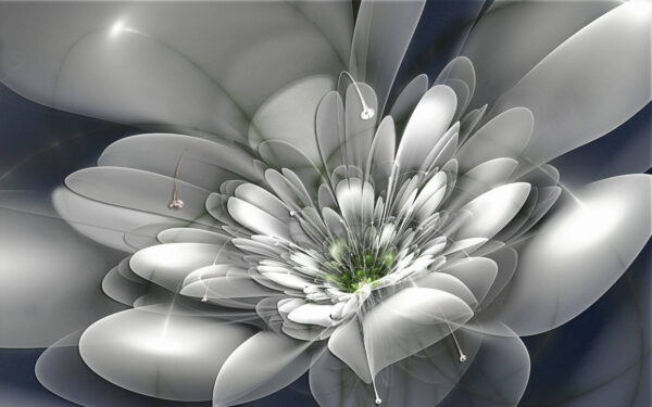 White flower with green center u36925p 600x375 - White flower with green center - tegory