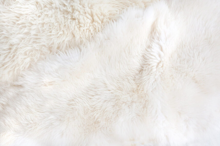 Wall murals Soft and cozy texture abundance - Image 2