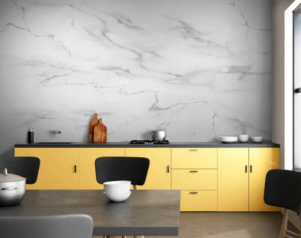 White marble with black veins White marble with black veins