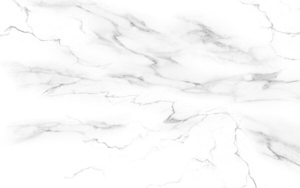 White marble with black veins White marble with black veins