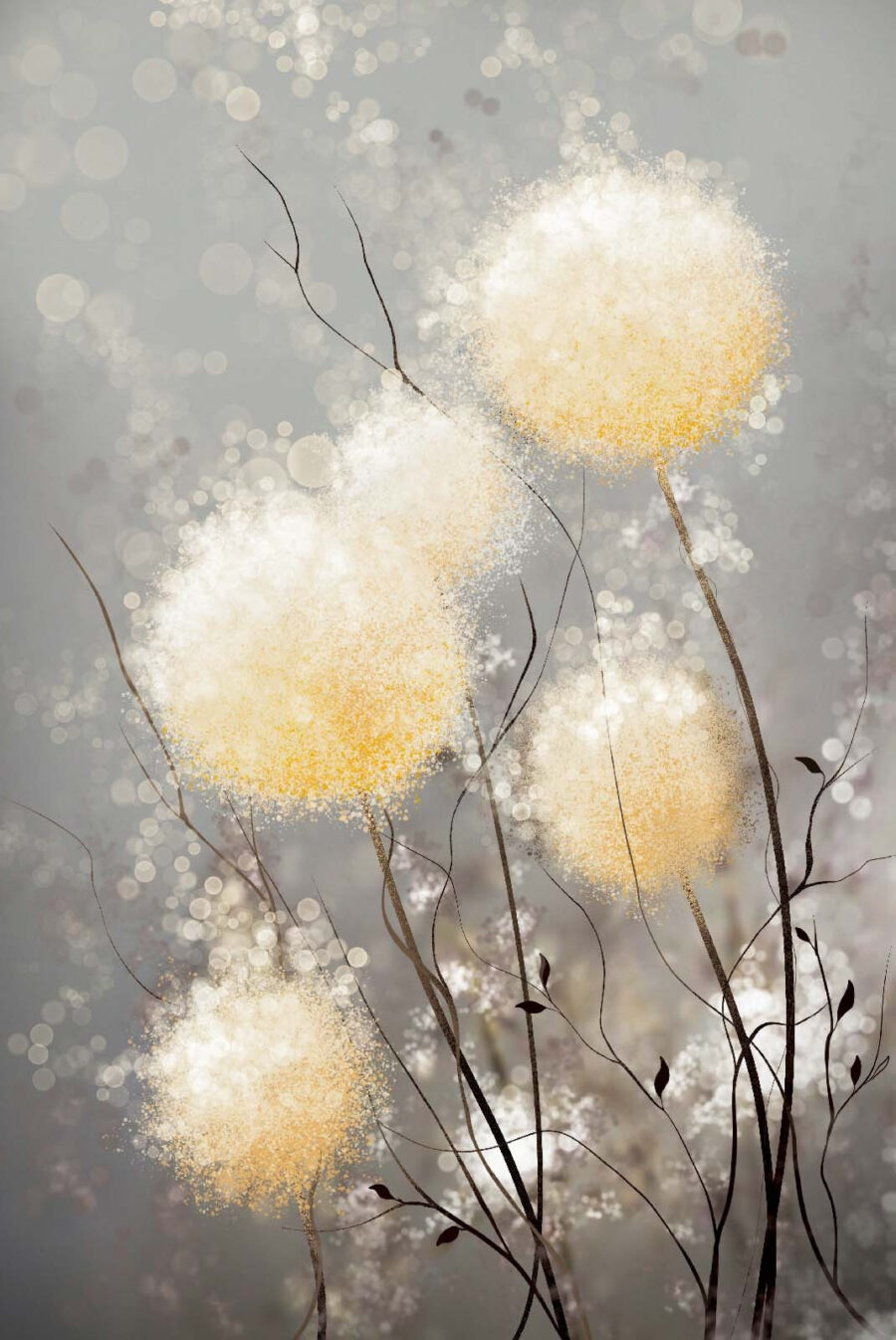 Group of white and yellow flowers