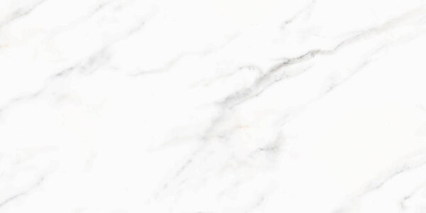 White marble surface with black veins White marble surface with black veins