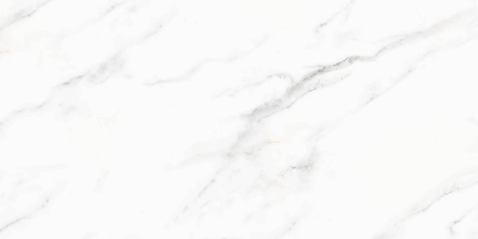 u33409p - White marble surface with black veins - tegory