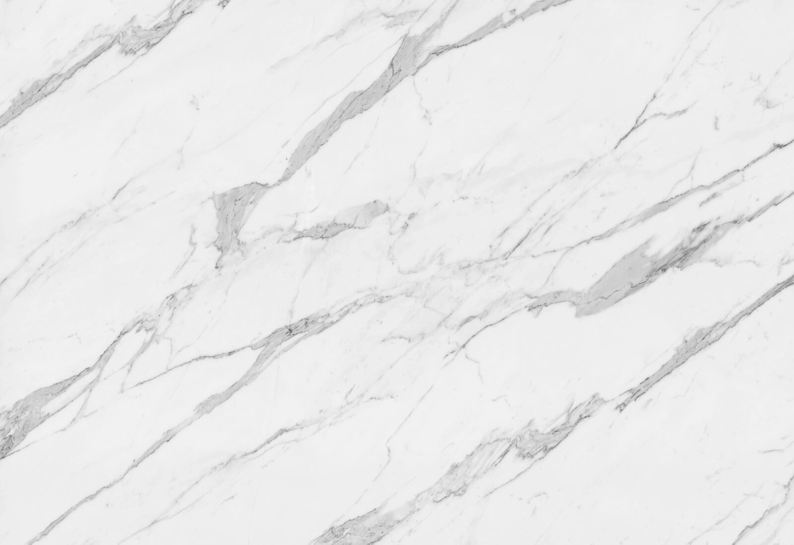 White marble with black veins u32870p - White marble with black veins - tegory
