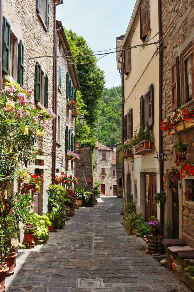 Narrow street with flowers and plants on the side Narrow street with flowers and plants on the side