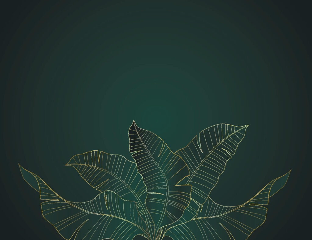 Elegant leaves on a dark background Elegant leaves on a dark background