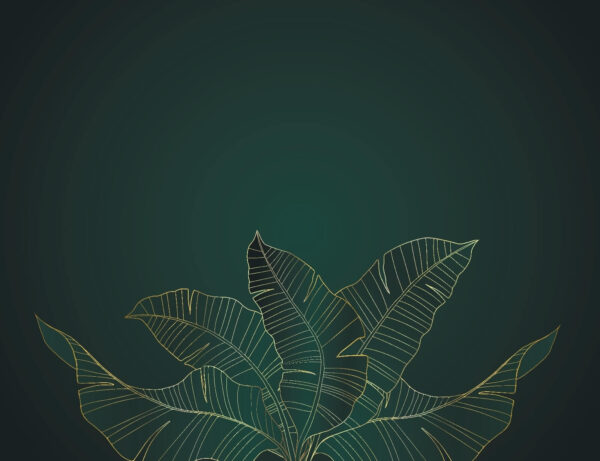 Elegant leaves on a dark background Elegant leaves on a dark background