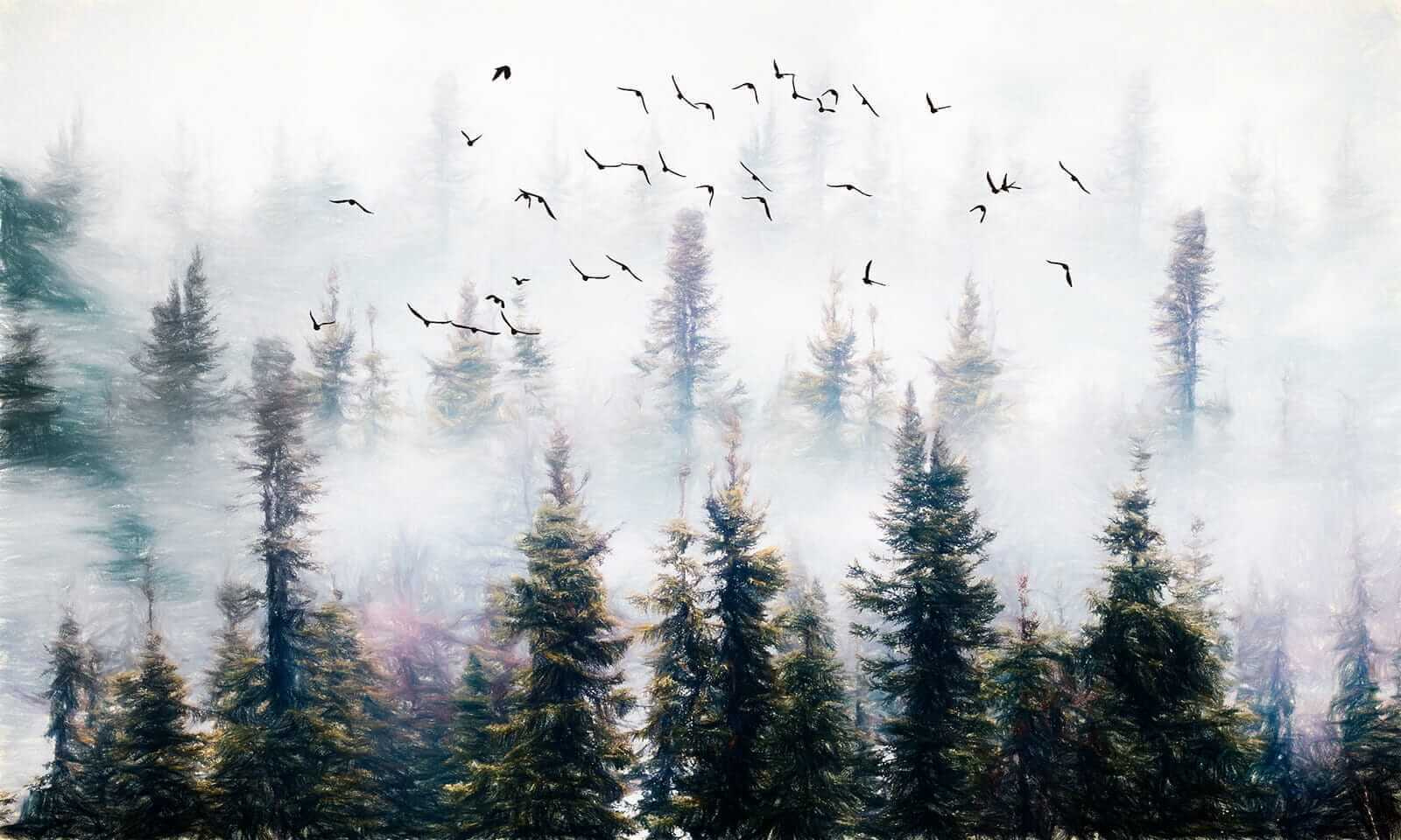 Birds flying in the sky over trees