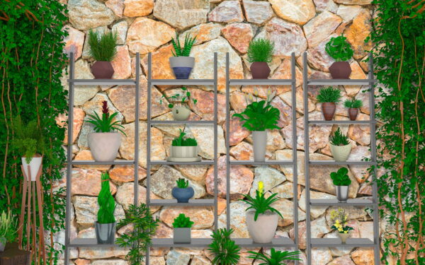 Group of plants on shelves Group of plants on shelves