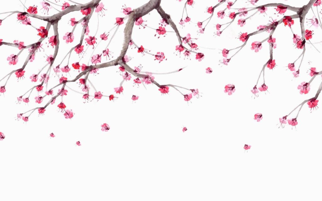 Tree with pink flowers Tree with pink flowers