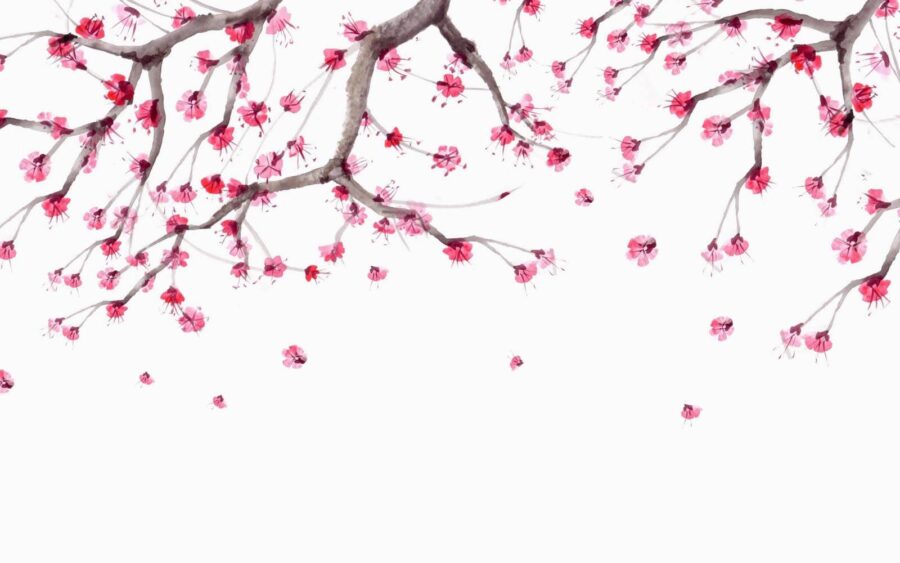 Tree with pink flowers Tree with pink flowers
