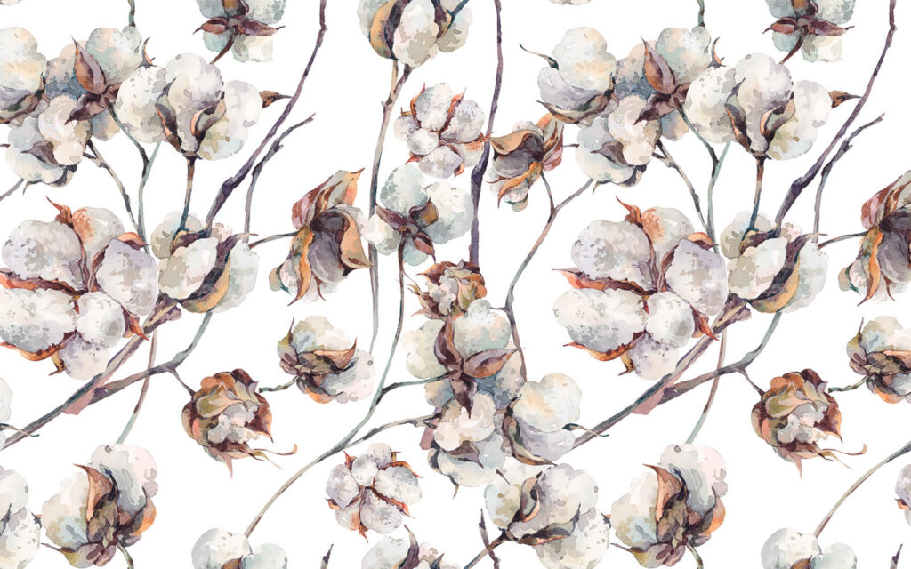 Pattern of cotton flowers u25957p 1024x640 - Pattern of cotton flowers - tegory