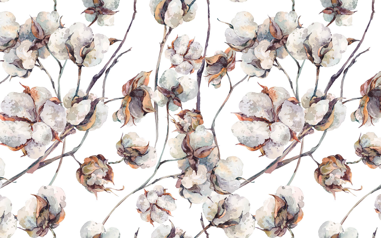 Pattern of cotton flowers u25957p - Pattern of cotton flowers - tegory