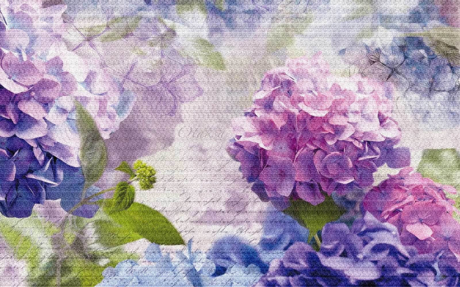 Soft hues of blooming flowers u25737p - Soft hues of blooming flowers - tegory