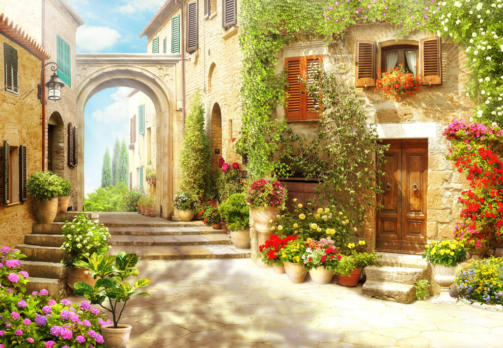 Stone building with a door and a doorway with plants in pots Stone building with a door and a doorway with plants in pots