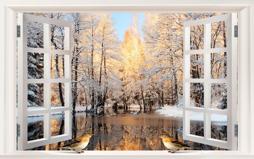 Window with birds looking out of a lake Window with birds looking out of a lake