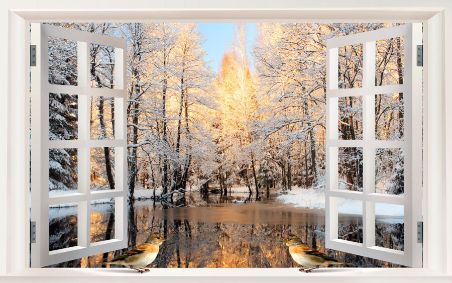 Window with birds looking out of a lake Window with birds looking out of a lake