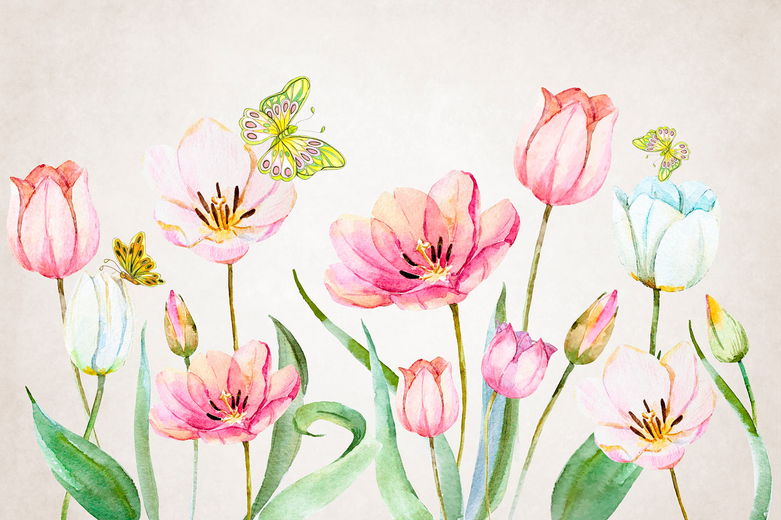 Painting of flowers and butterflies u24484p - Painting of flowers and butterflies - tegory