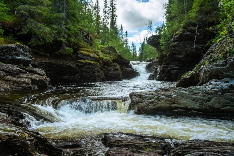 River with rocks and trees