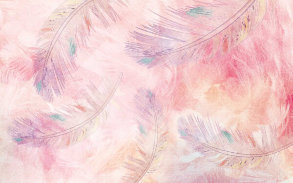 Delicate feathers on a soft background Delicate feathers on a soft background