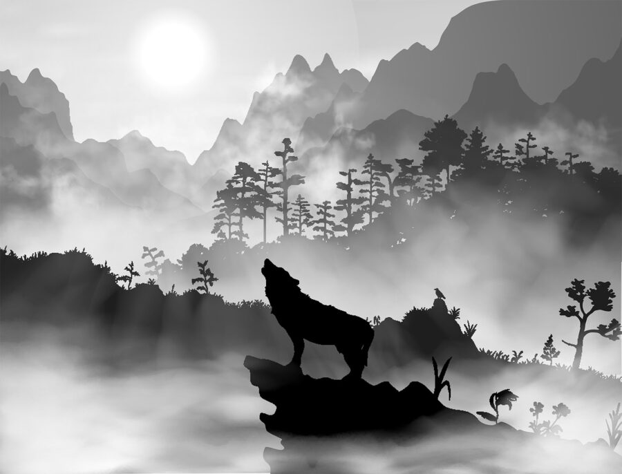 Wolf howling at the moon
