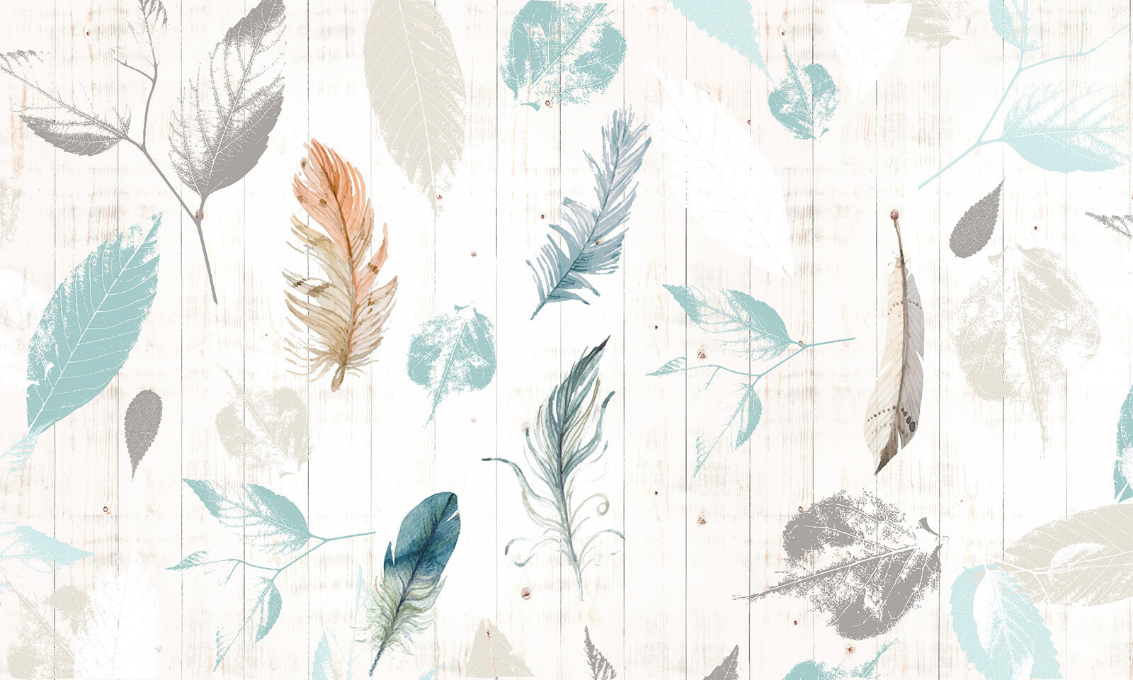 Group of feathers on a wood surface u21570p - Group of feathers on a wood surface - tegory