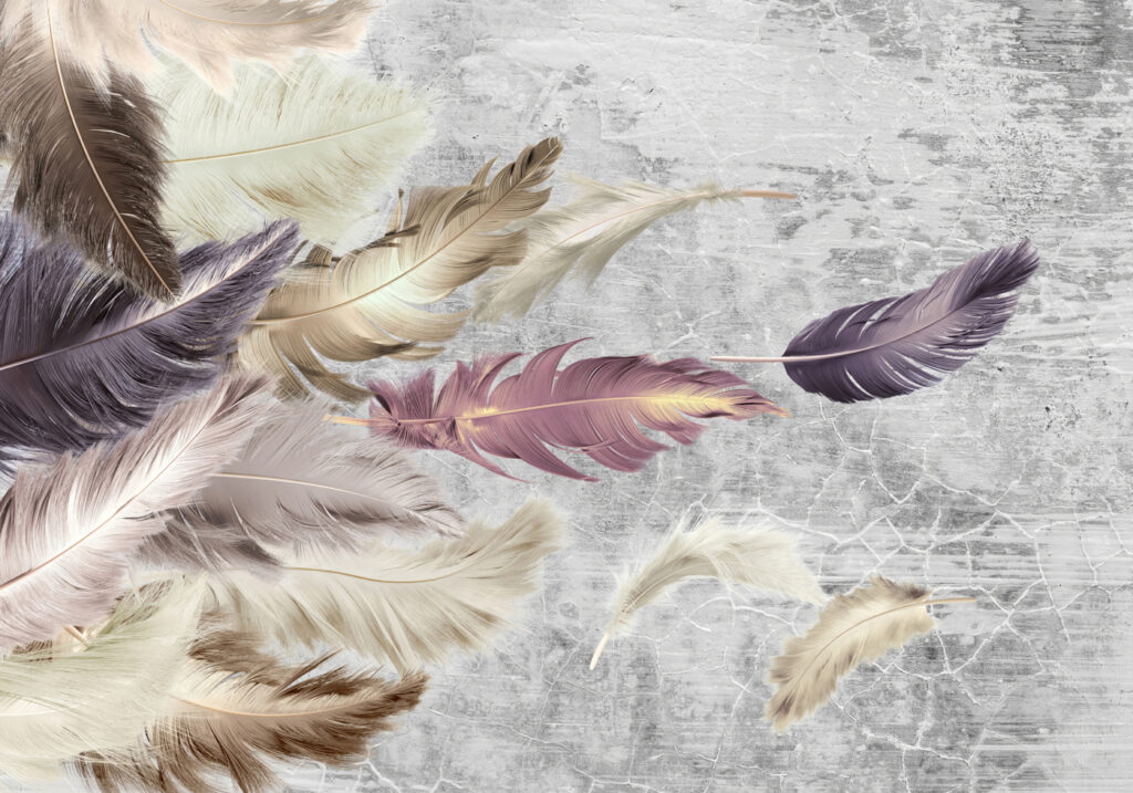 Group of feathers flying Group of feathers flying