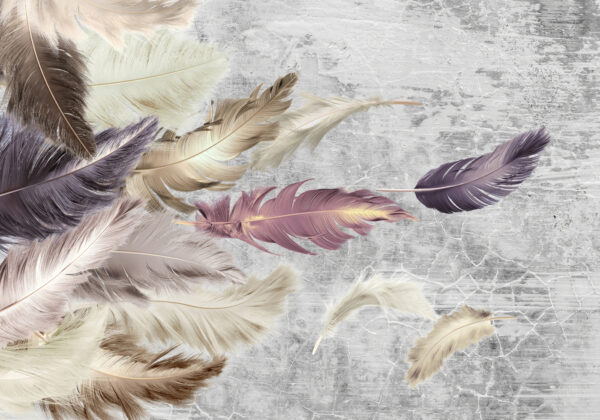 Group of feathers flying Group of feathers flying