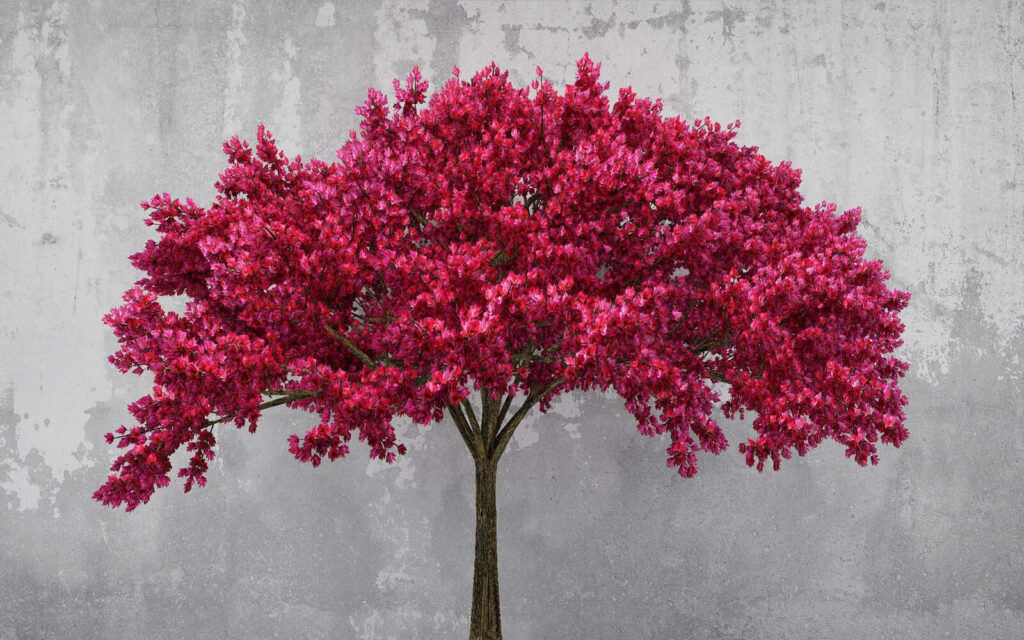 Tree with pink flowers Tree with pink flowers