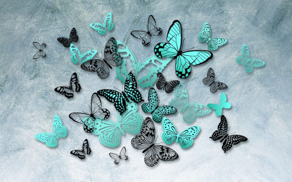 Group of butterflies on a wall Group of butterflies on a wall