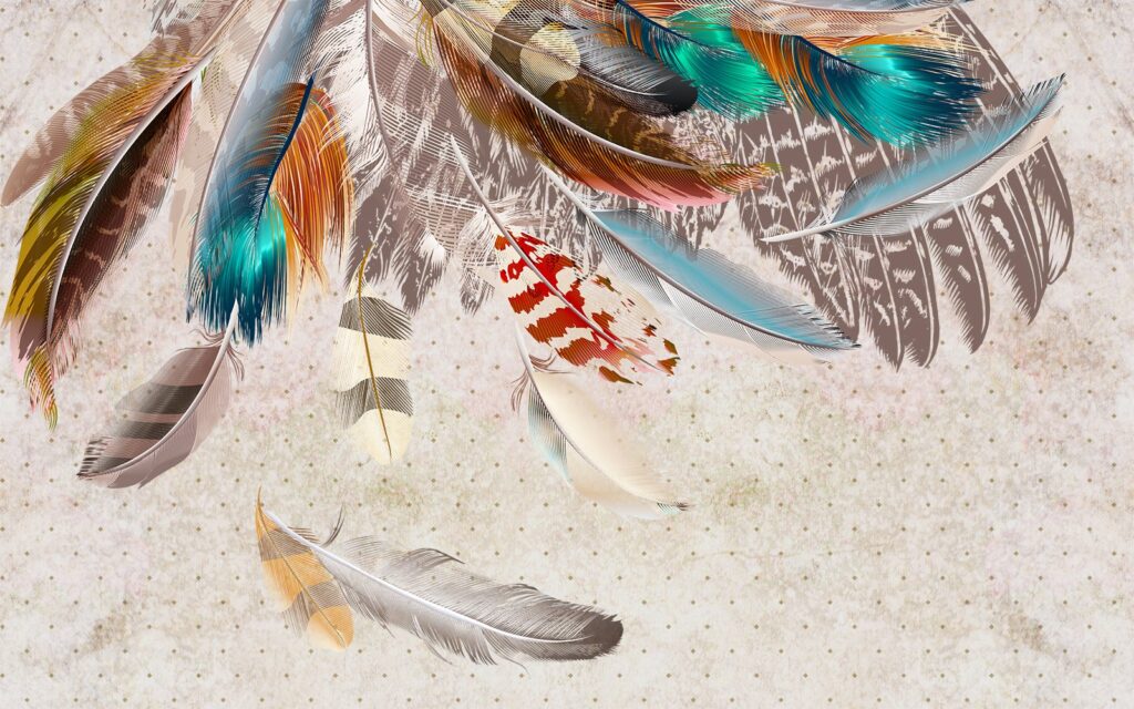 Group of colorful feathers Group of colorful feathers