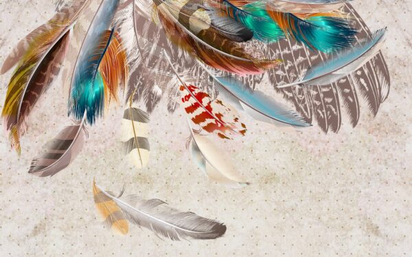 Group of colorful feathers Group of colorful feathers