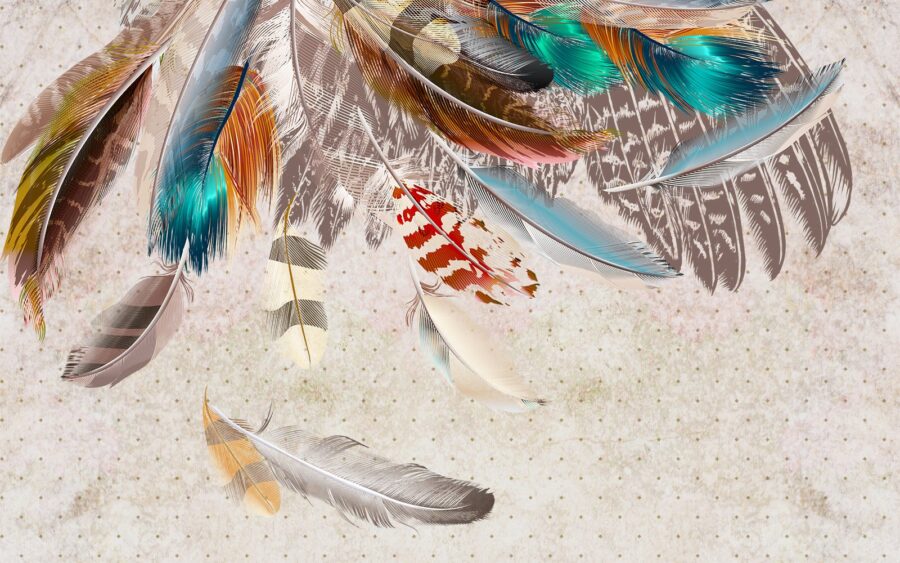 Group of colorful feathers