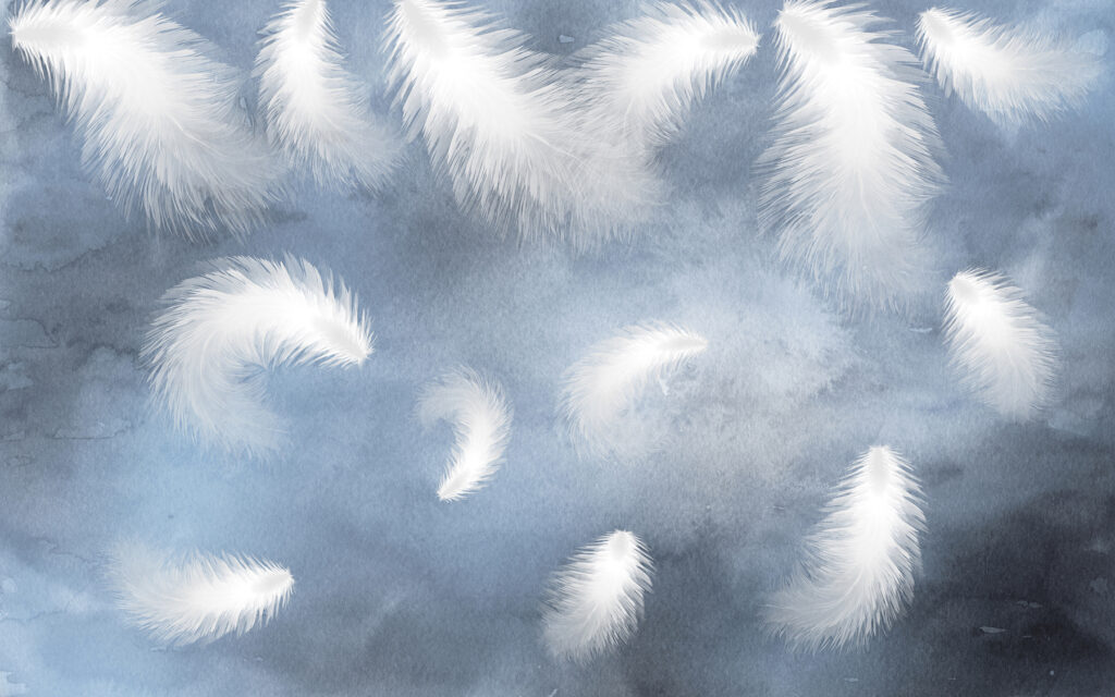 White feathers in the sky White feathers in the sky