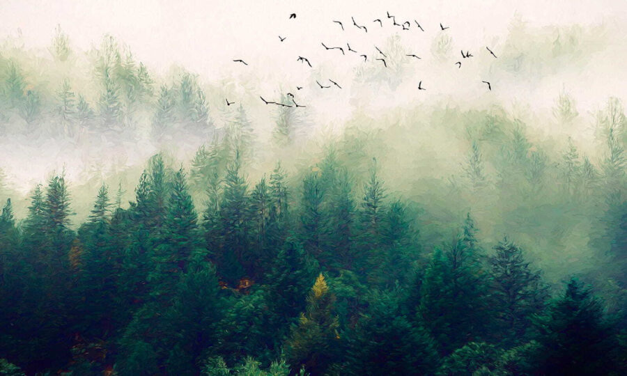 Wall murals Birds flying over a forest - Image 11