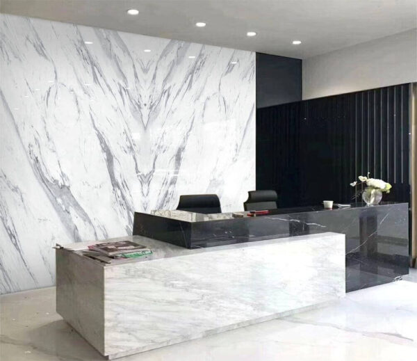 White marble surface with black lines White marble surface with black lines