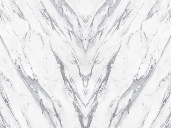 White marble surface with black lines White marble surface with black lines