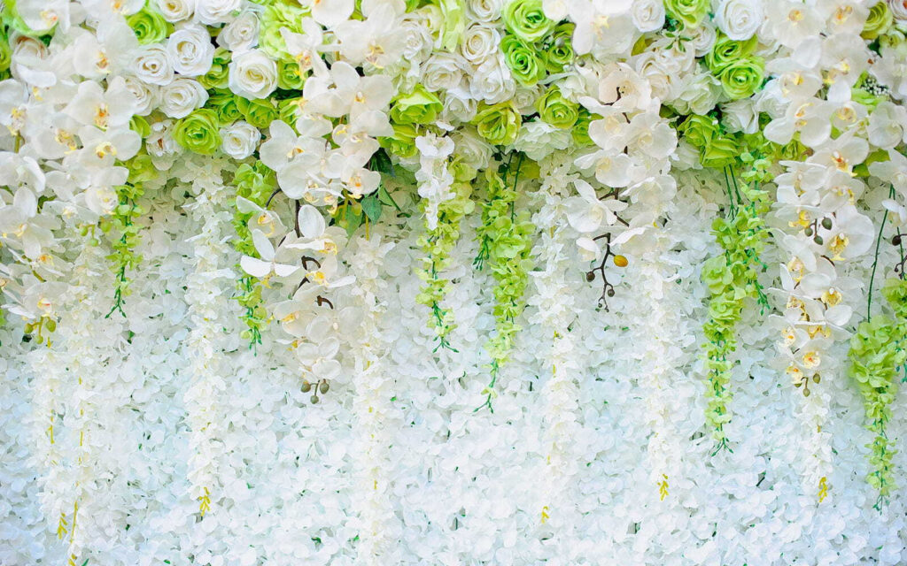 Wall of flowers and vines Wall of flowers and vines