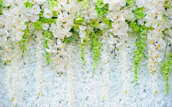 Wall of flowers and vines Wall of flowers and vines