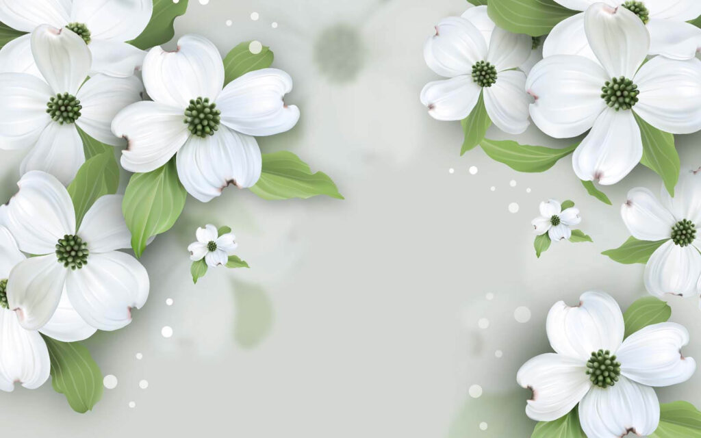 White flowers with green leaves White flowers with green leaves